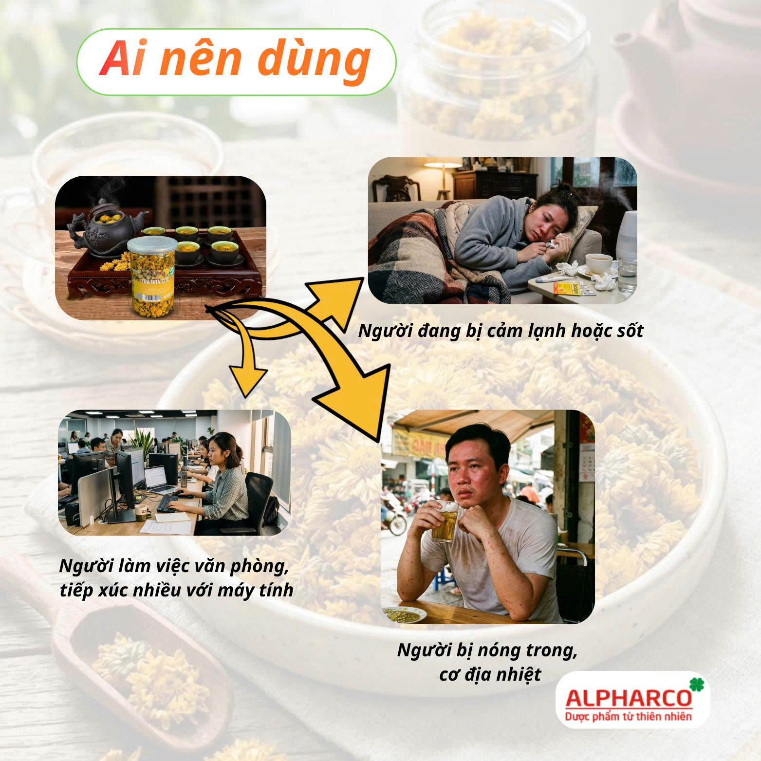 Trà Hoa cúc 100g thumbnail