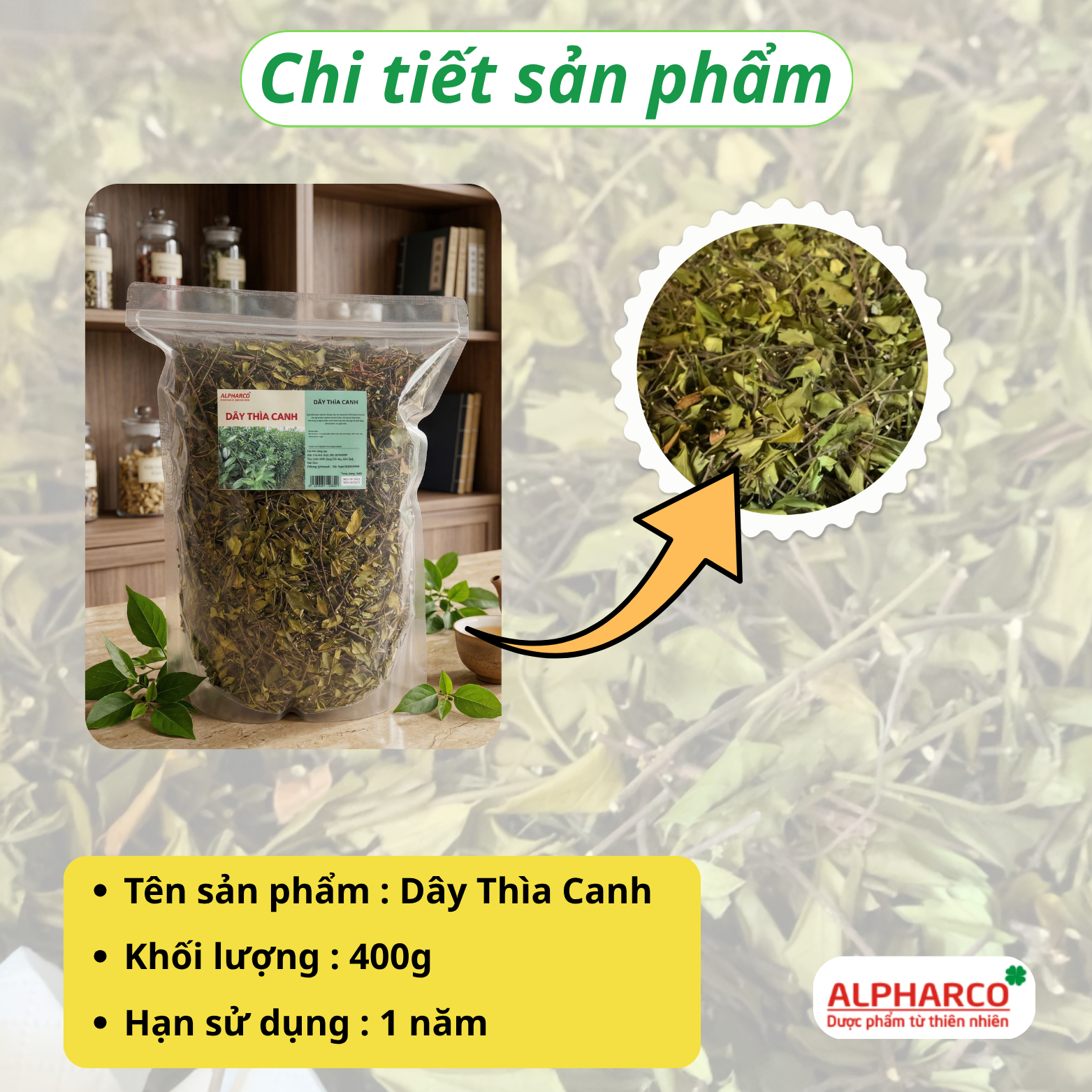 Dây thìa canh thumbnail