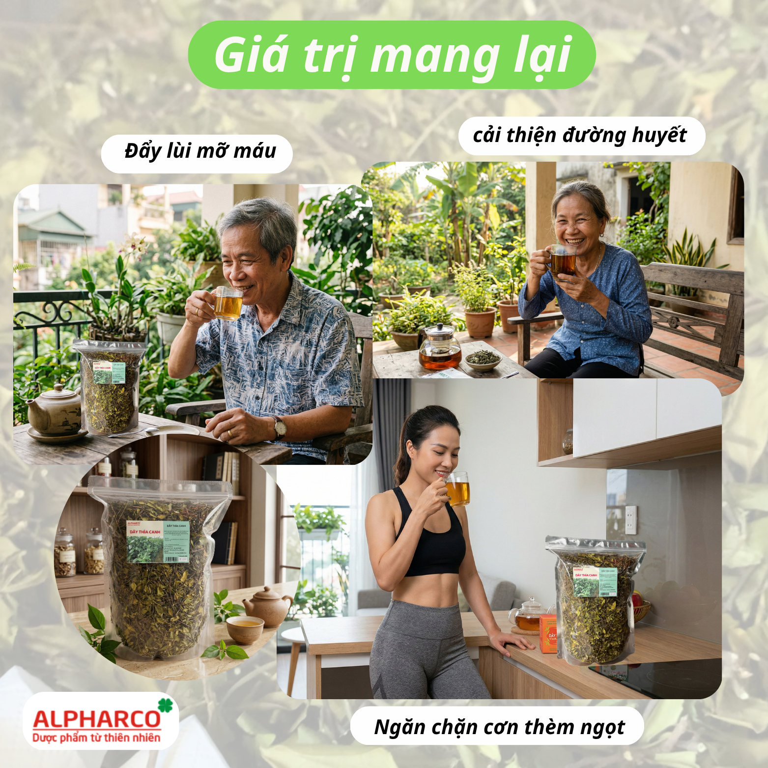 Dây thìa canh thumbnail