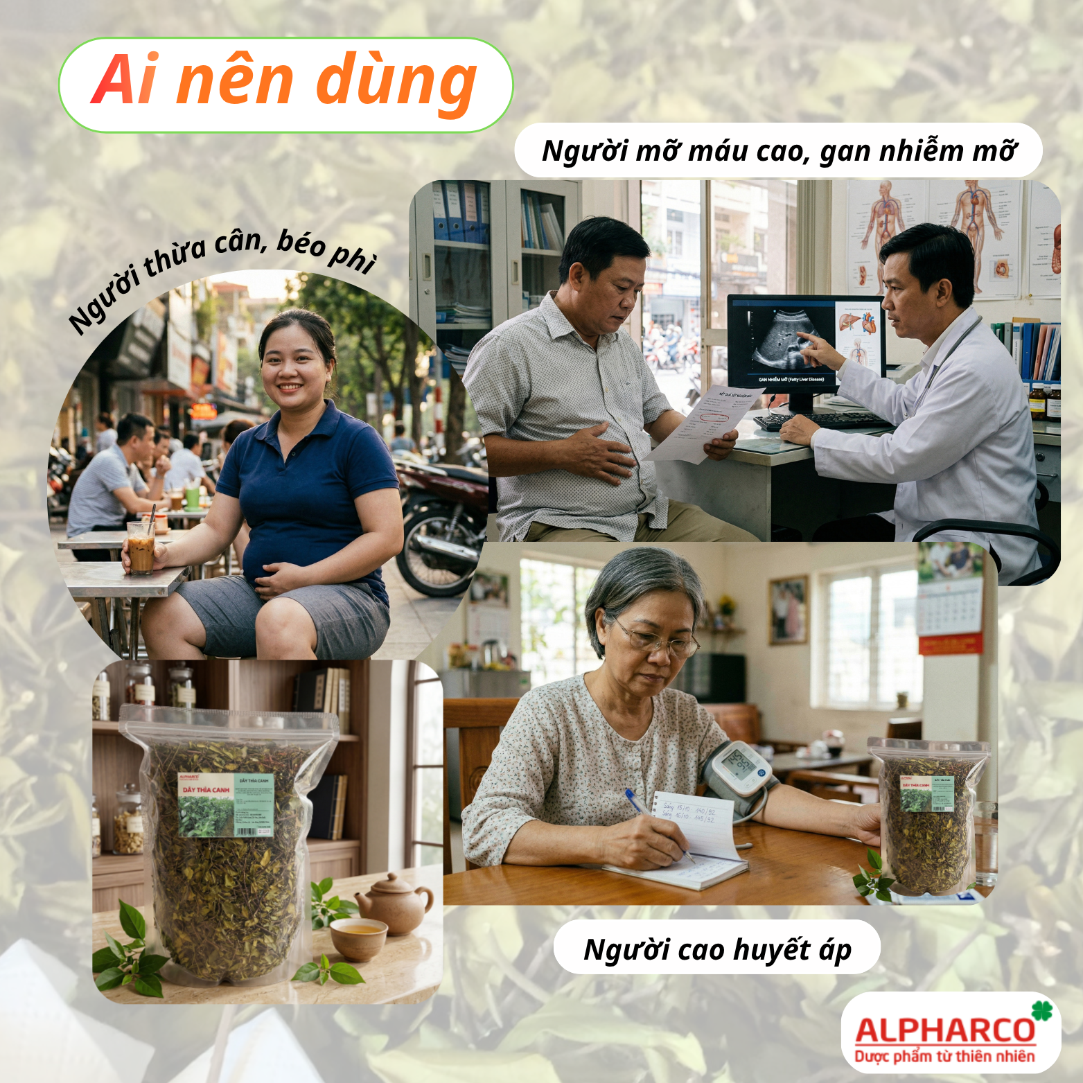 Dây thìa canh thumbnail