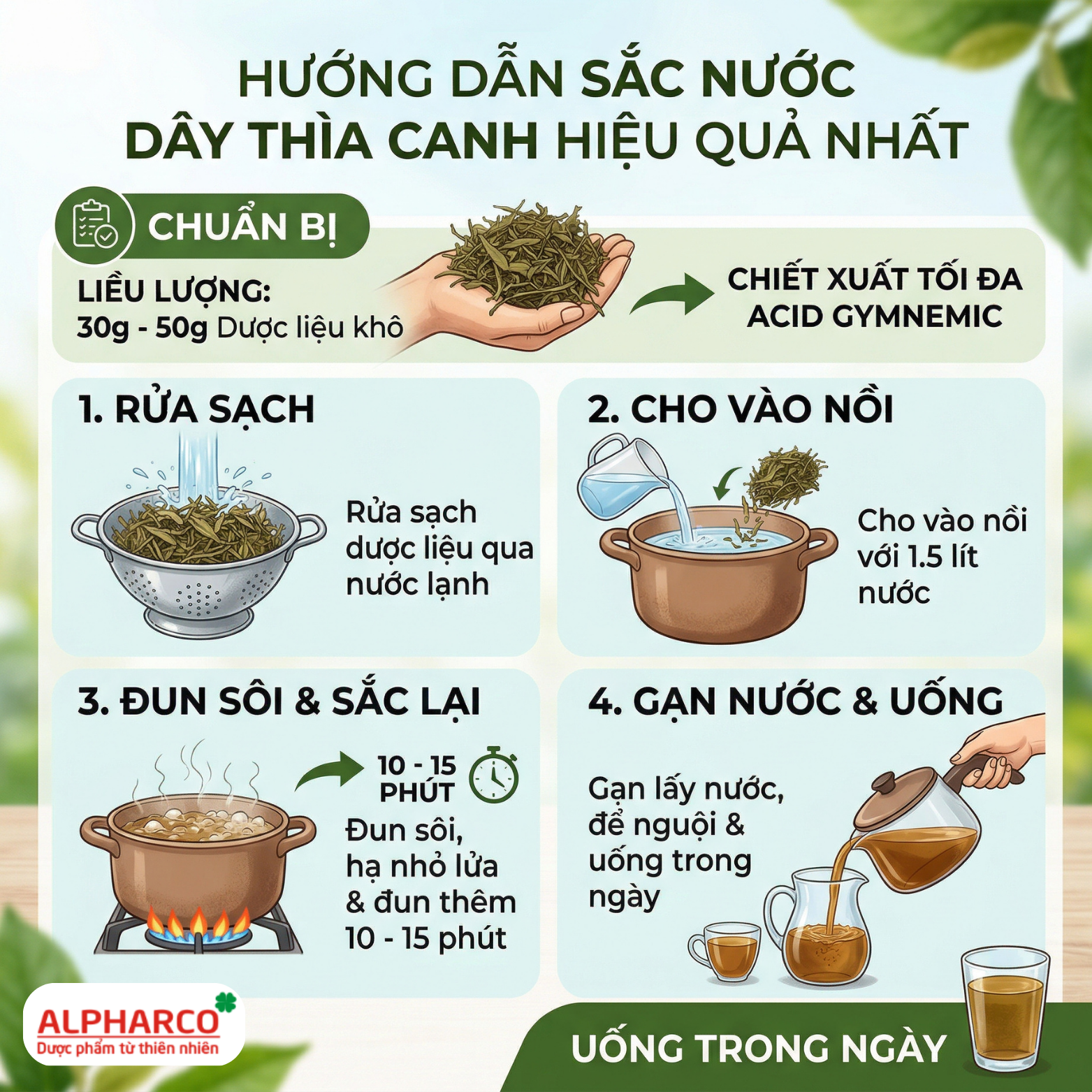 Dây thìa canh thumbnail