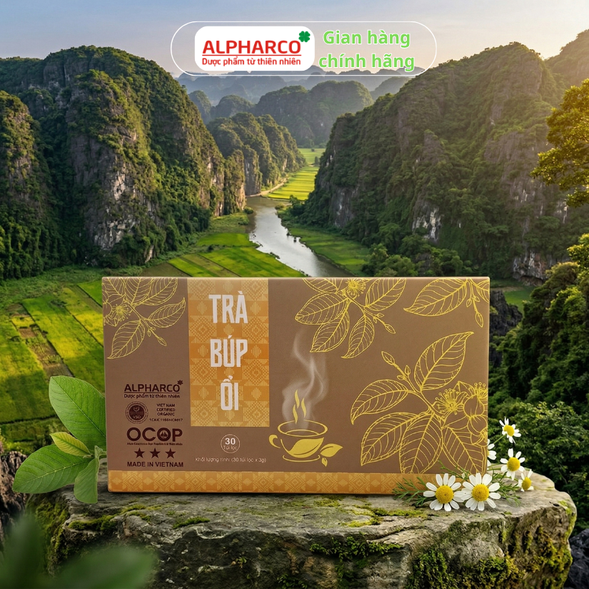 Trà công thức búp ổi thumbnail