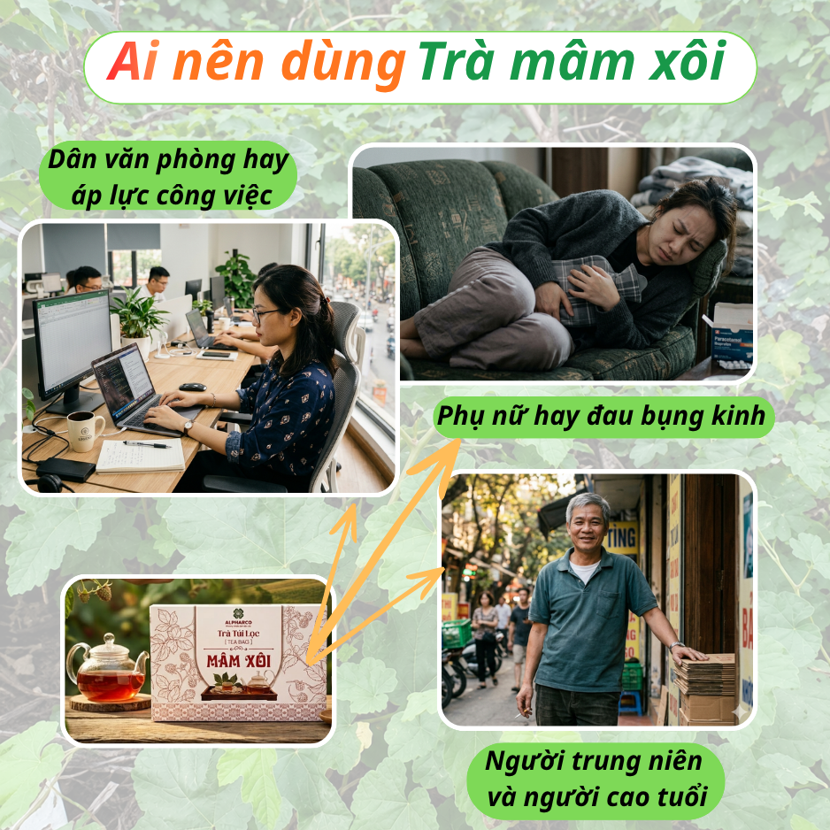 Trà Túi Lọc Mâm Xôi thumbnail