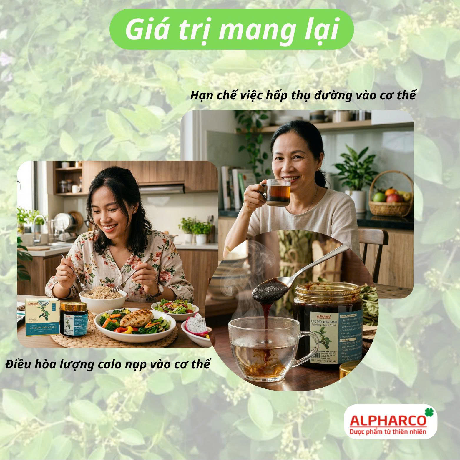 Cao dây thìa canh thumbnail