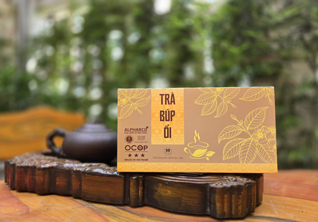 Trà công thức búp ổi thumbnail