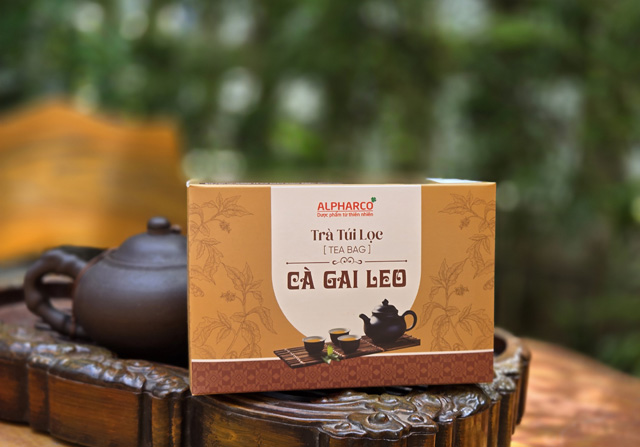 Trà túi lọc cà gai leo thumbnail