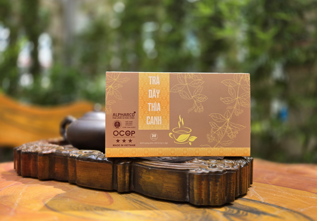Trà công thức dây thìa canh thumbnail
