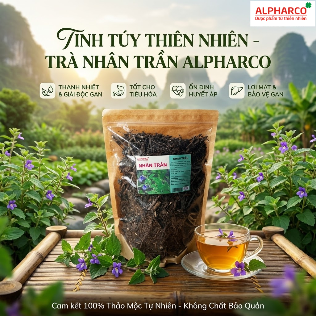 Nhân trần 300g thumbnail
