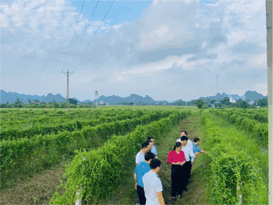 ALPHARCO - HÀNH TRÌNH TỪ ĐẤT MẸ image