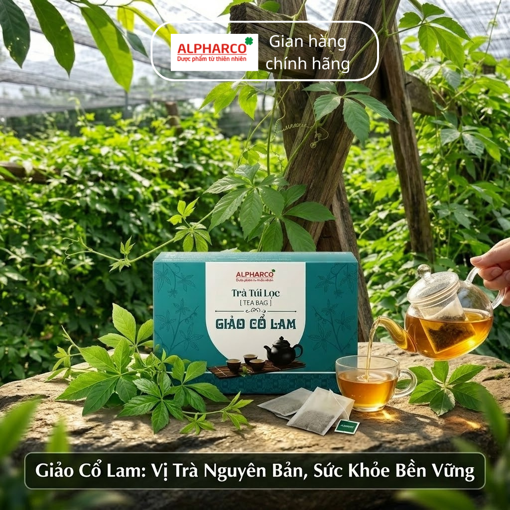 Trà túi lọc giảo cổ lam thumbnail