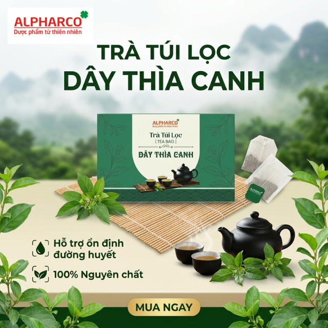 Trà túi lọc dây thìa canh thumbnail