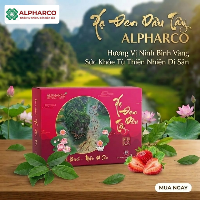 Trà công thức xạ đen dâu tây thumbnail