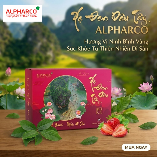 Trà công thức xạ đen dâu tây thumbnail