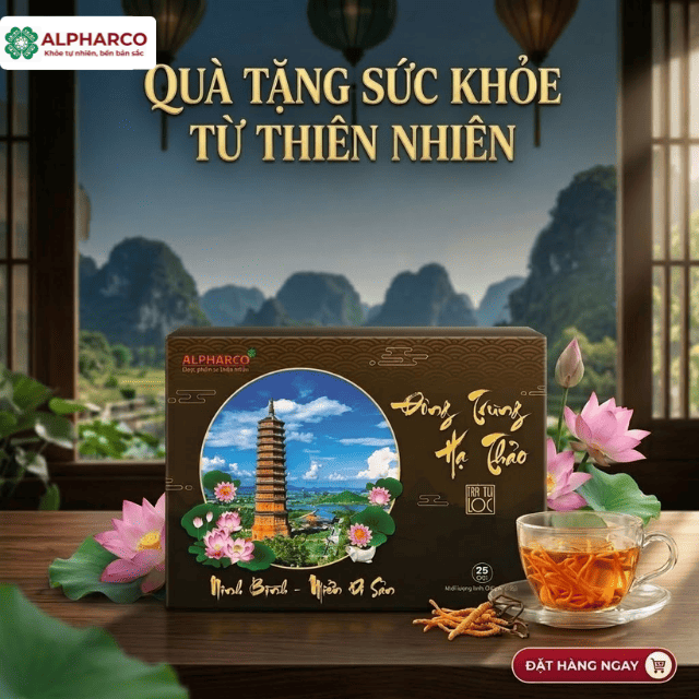 Trà Công Thức Đông Trùng Hạ Thảo thumbnail