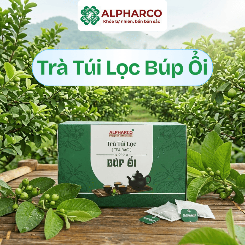 Trà túi lọc búp ổi thumbnail