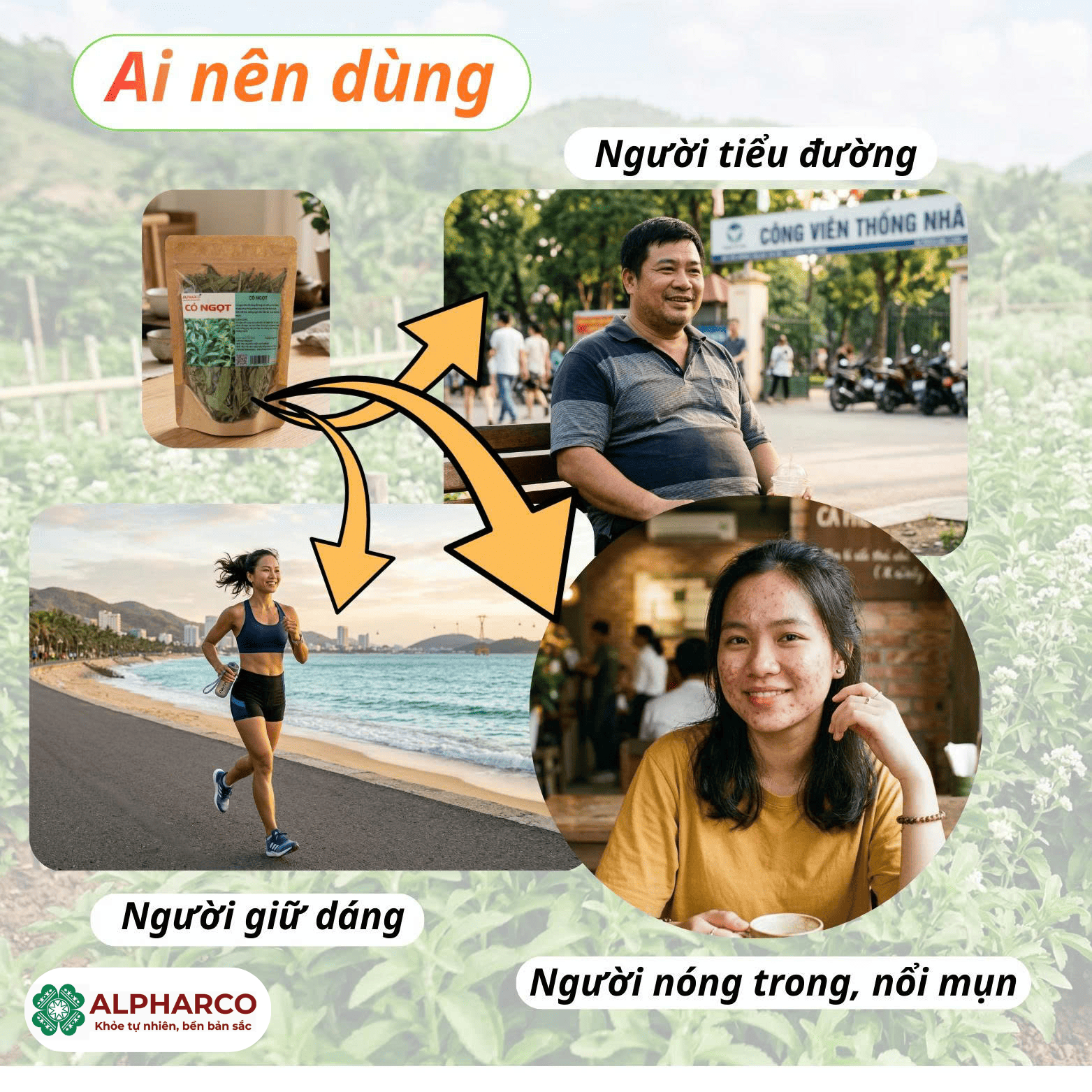 Cỏ ngọt 50g thumbnail