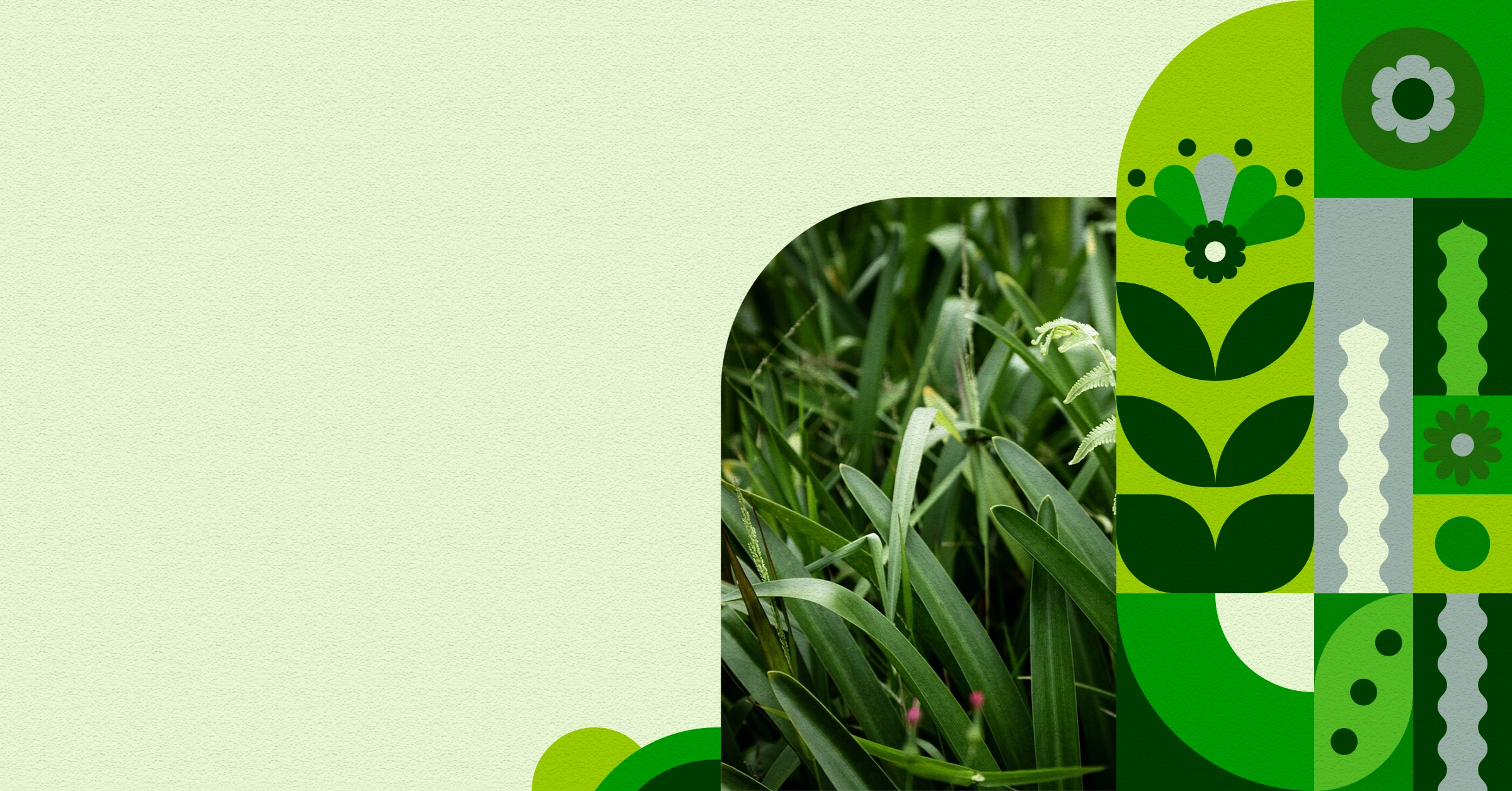 Dược phẩm
từ thiên nhiên img