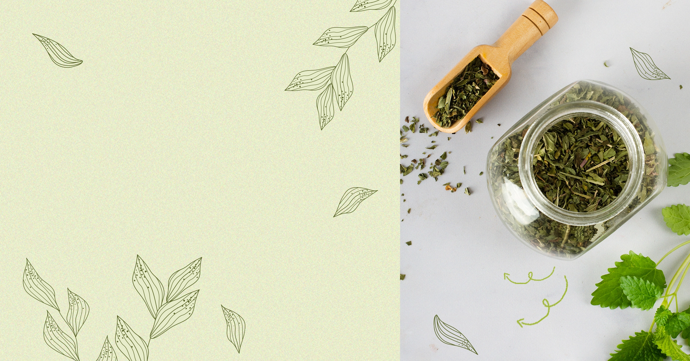 Dược phẩm
từ thiên nhiên img