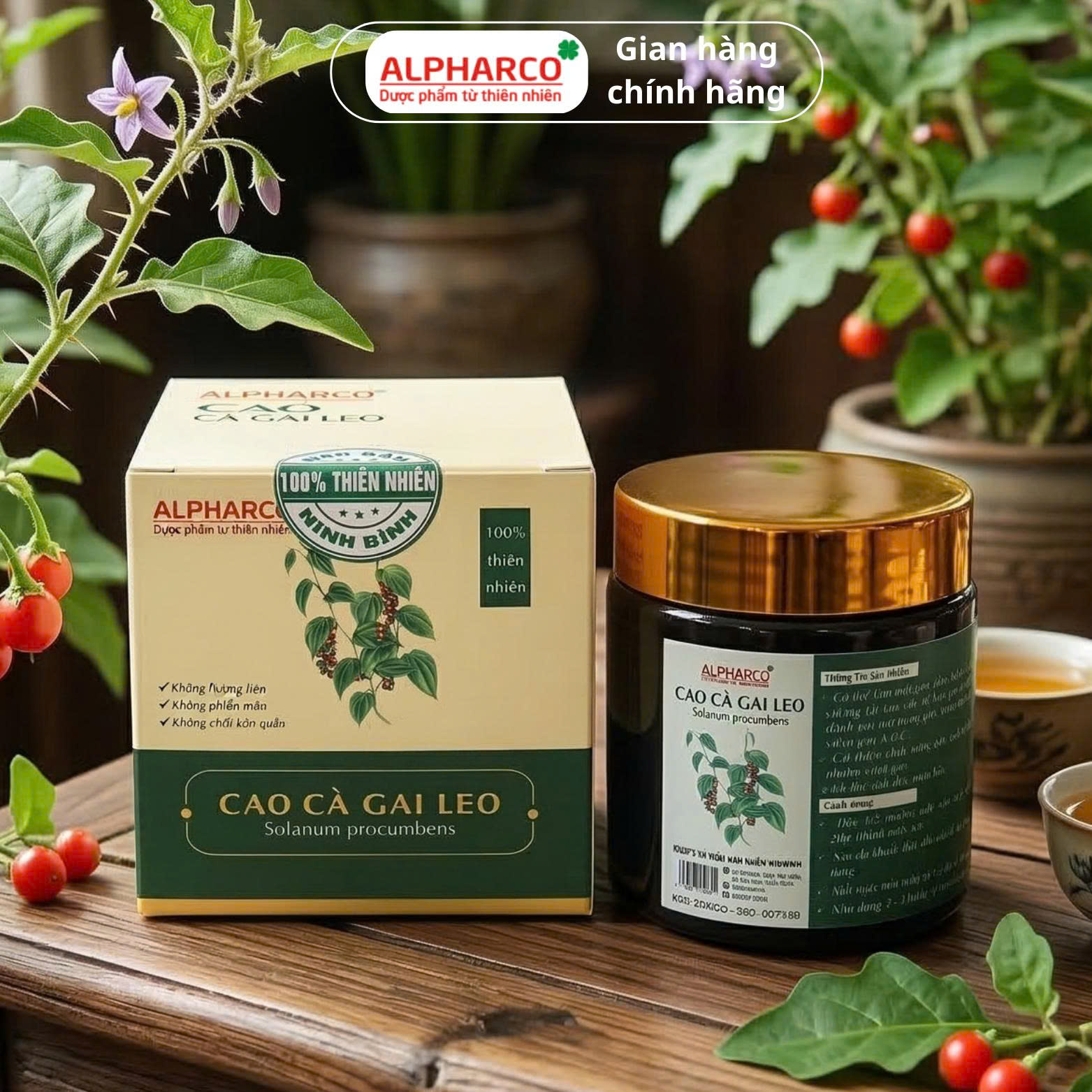 Cao cà gai leo thumbnail