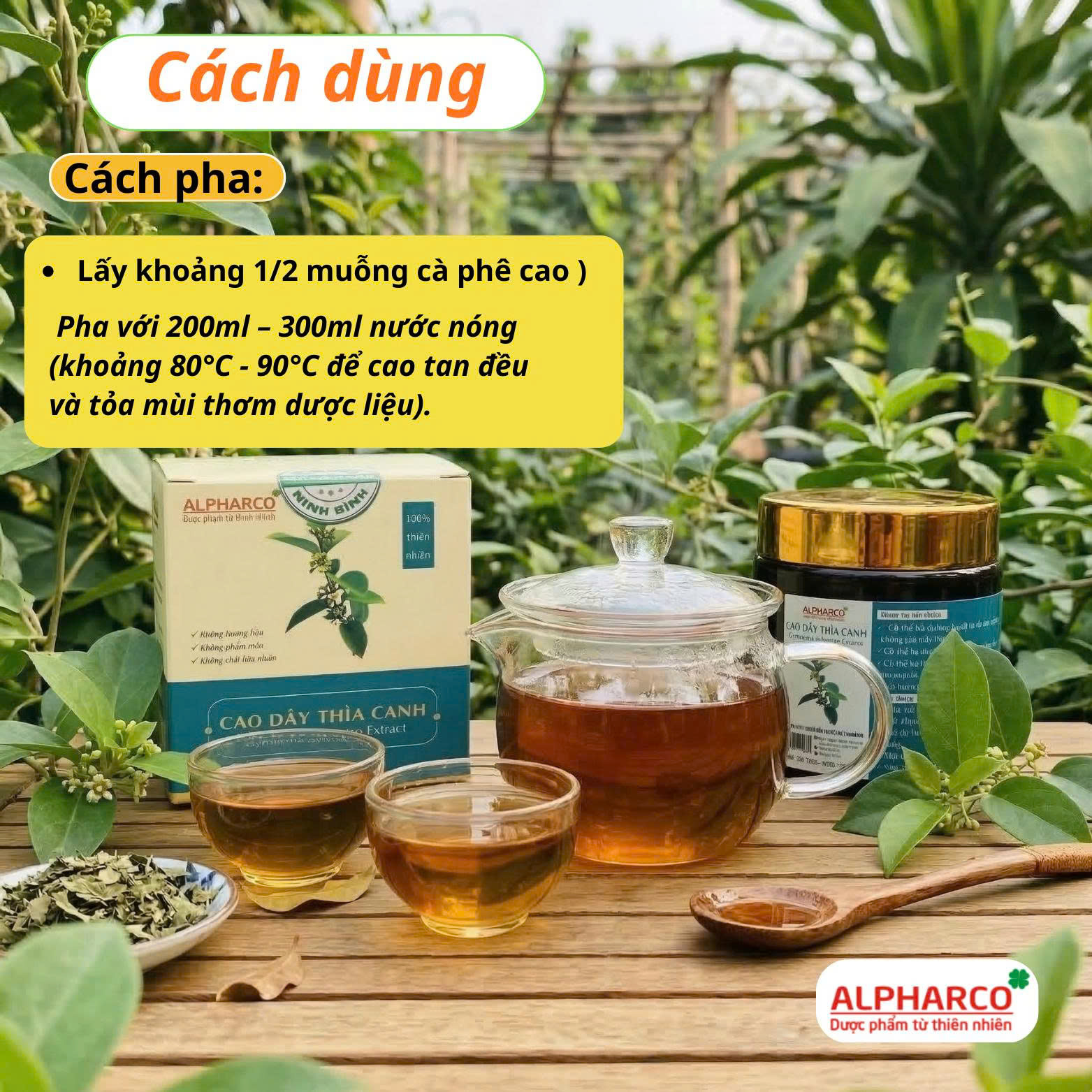 Cao dây thìa canh thumbnail