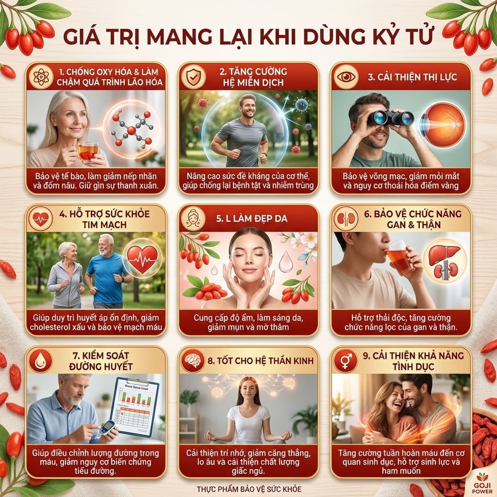 Kỷ tử thumbnail