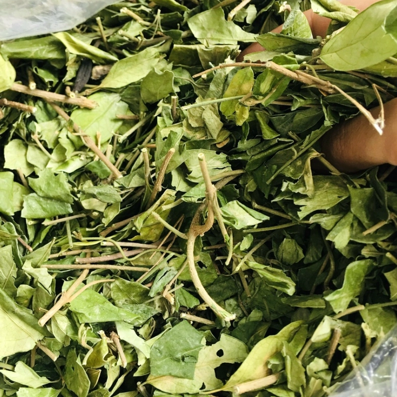 Dây thìa canh thumbnail