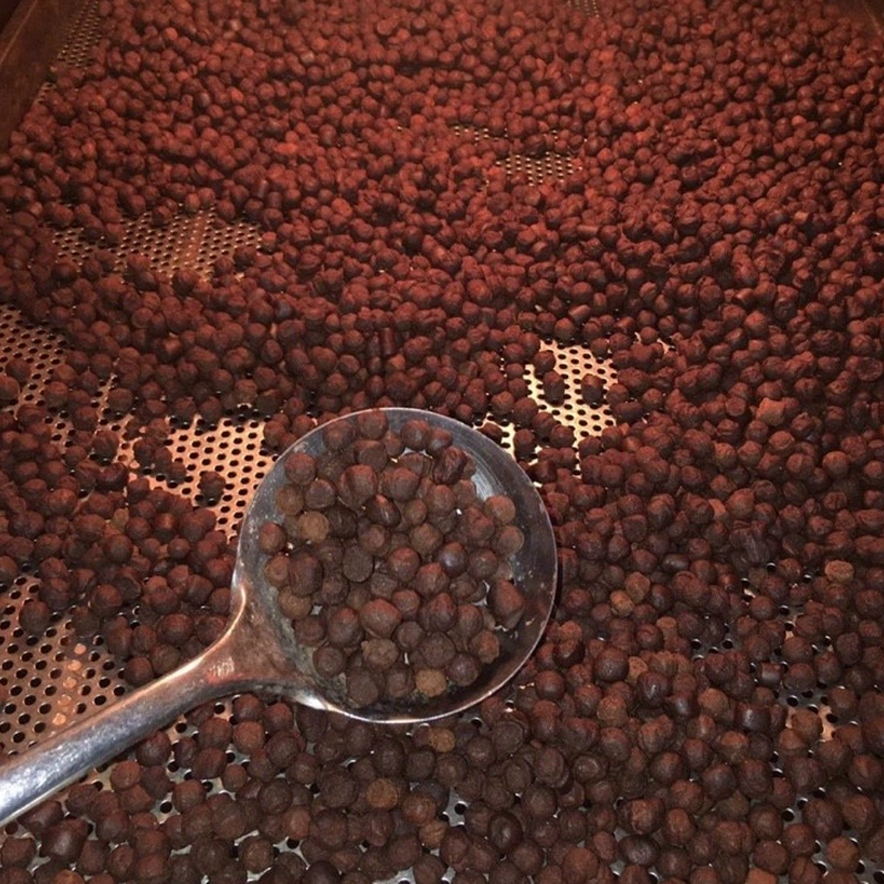 Viên hà thủ ô đỏ thumbnail