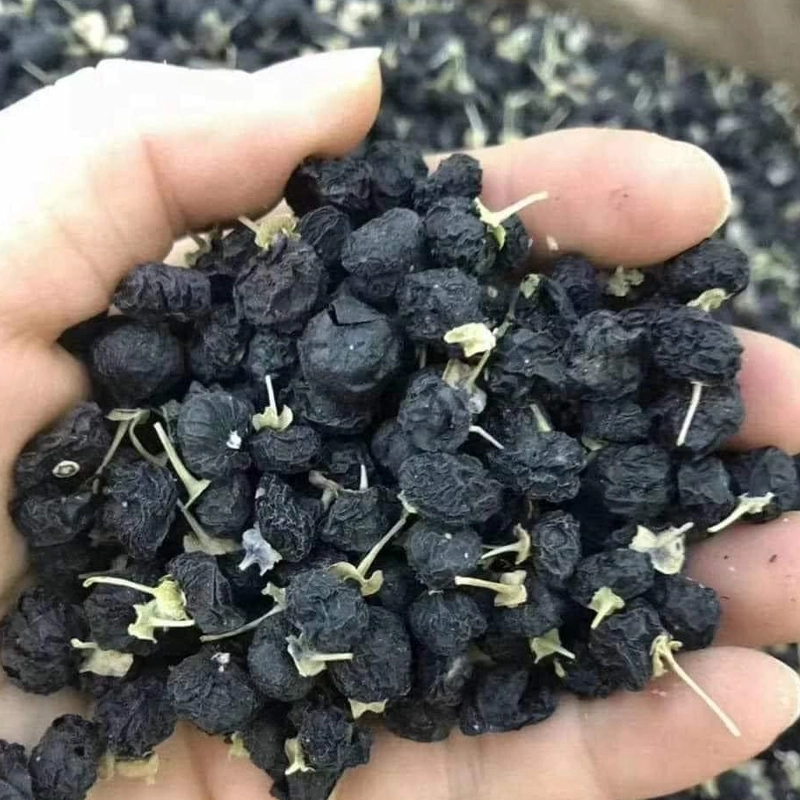 Hắc Kỷ Tử thumbnail