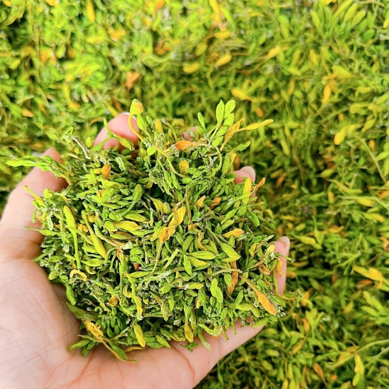 Hoa đu đủ đực thumbnail