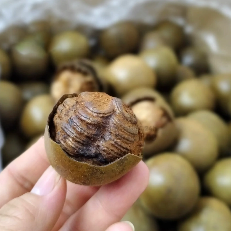 La hán quả thumbnail