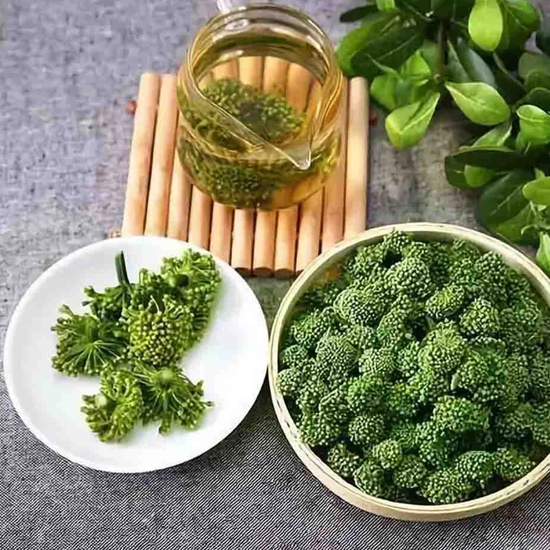 Nụ hoa tam thất thumbnail