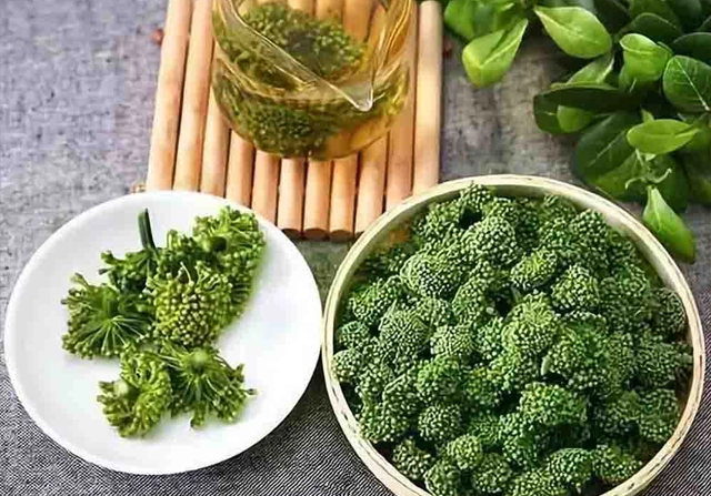 Nụ hoa tam thất img