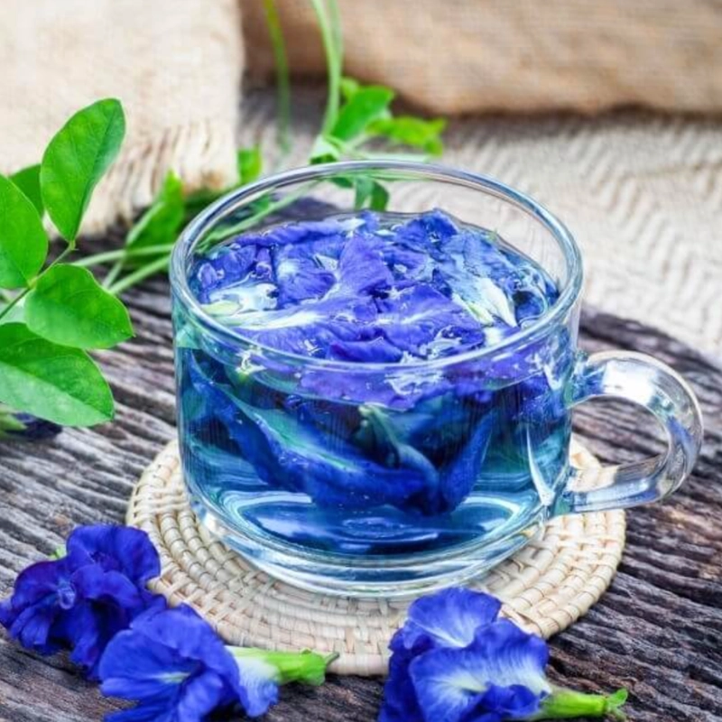 Trà Hoa Đậu Biếc thumbnail