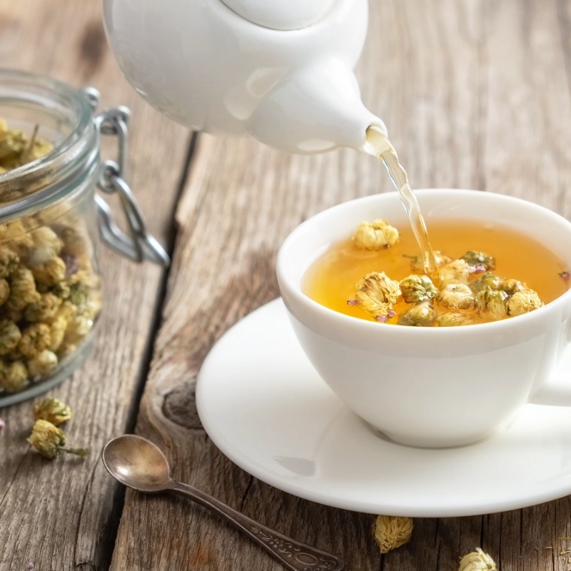 Trà sơn kim cúc thumbnail