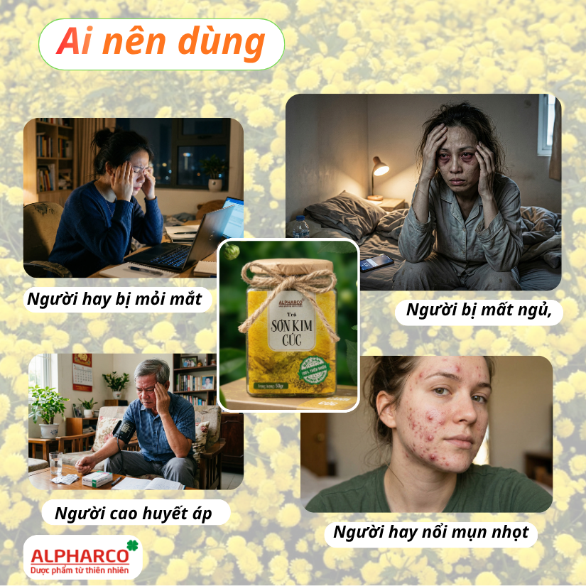 Trà sơn kim cúc Alphacro 50gr cải thiện chất lượng giấc ngủ,thanh nhiệt,làm mát gan, hỗ trợ tiêu hóa thumbnail