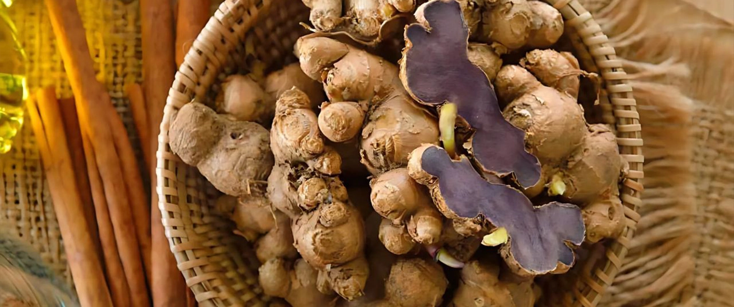 Gừng sử dụng đúng là thuốc quý, dùng sai thành độc dược cover