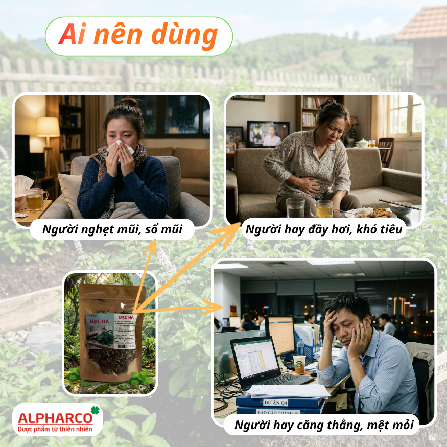 Bạc hà 50g thumbnail