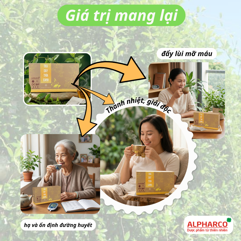 Trà túi lọc dây thìa canh Alpharco 30 gói x 3gr thanh nhiệt giải độc,hạ,ổn định đường huyết thumbnail