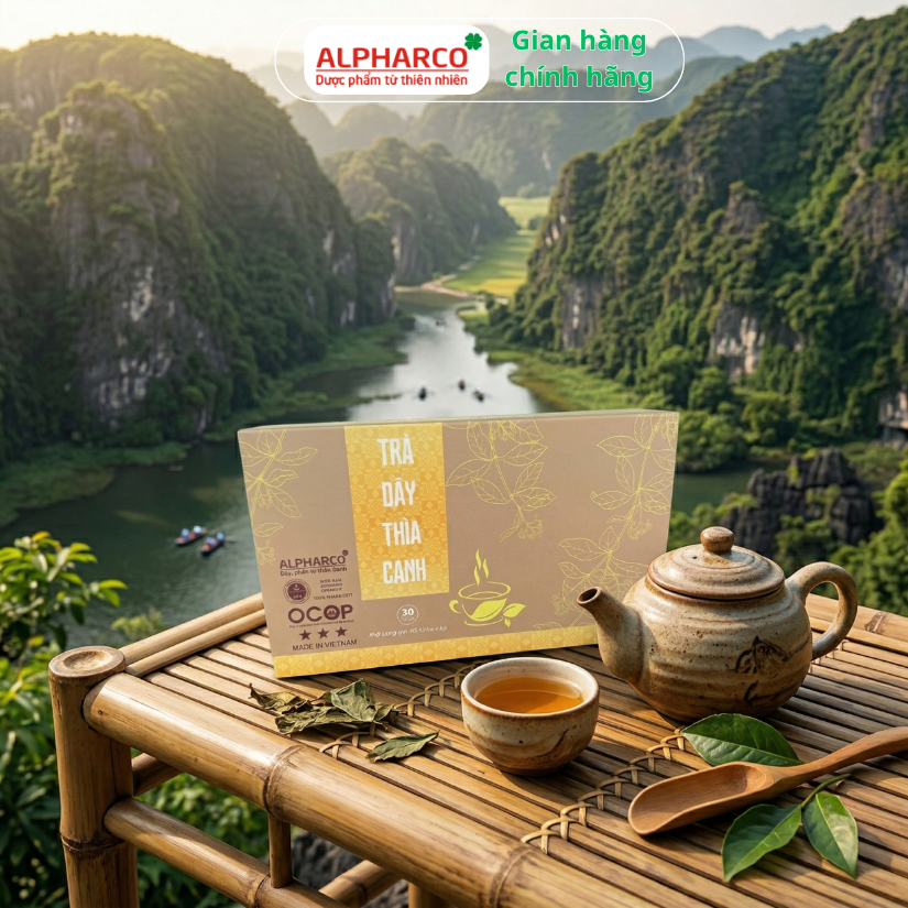 Trà túi lọc dây thìa canh Alpharco 30 gói x 3gr thanh nhiệt giải độc,hạ,ổn định đường huyết thumbnail