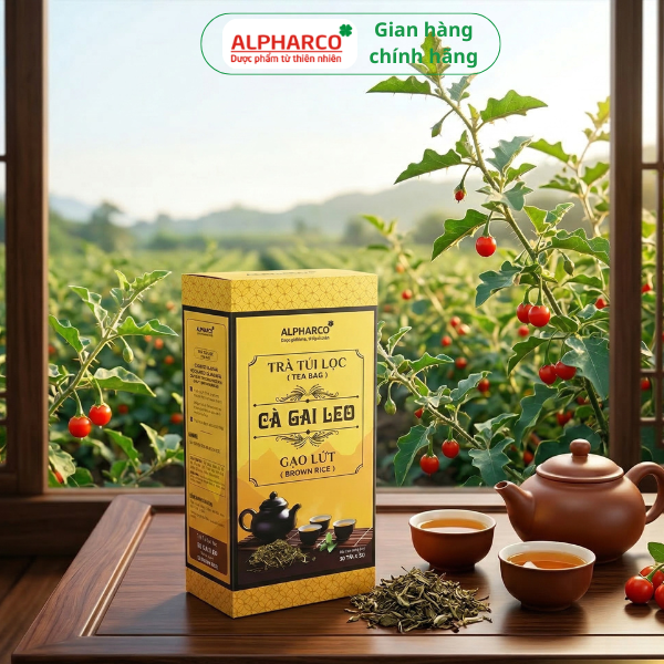 Trà công thức cà gai leo gạo lứt thumbnail