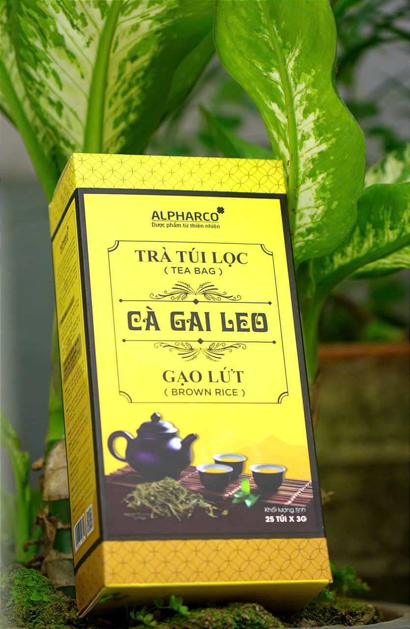 Trà công thức cà gai leo gạo lứt thumbnail