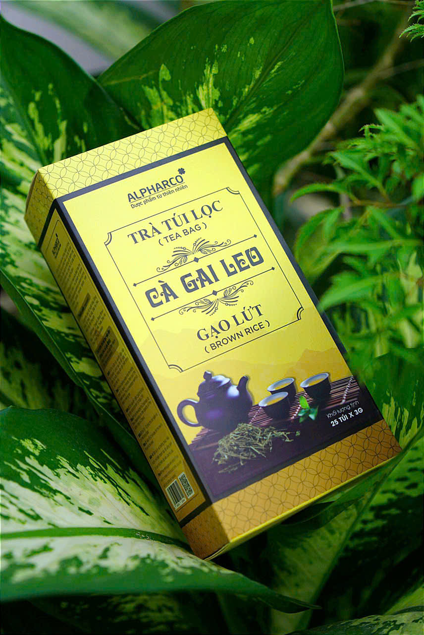 Trà công thức cà gai leo gạo lứt thumbnail