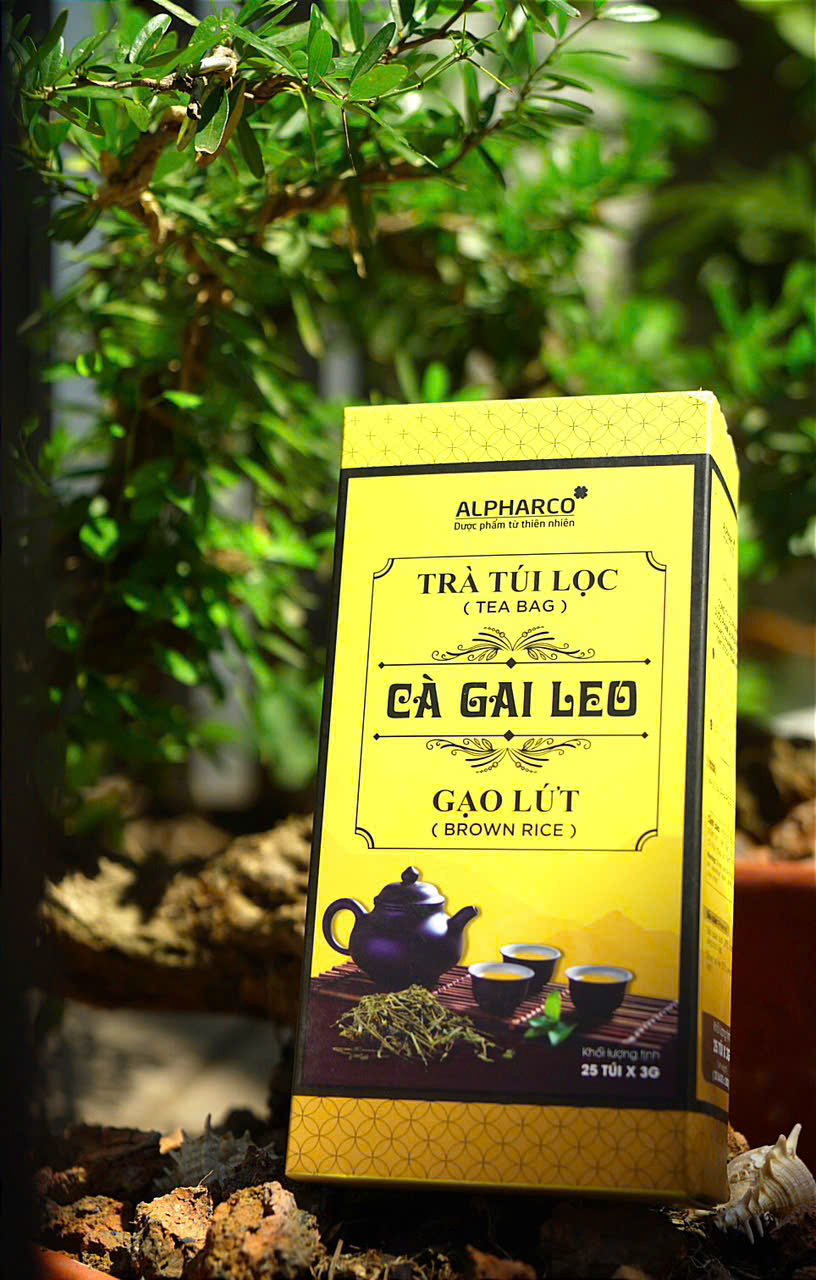 Trà công thức cà gai leo gạo lứt thumbnail
