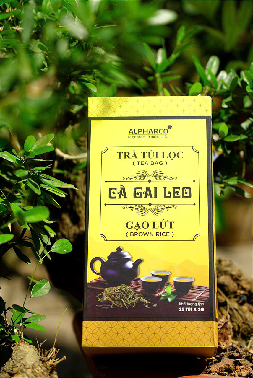 Trà công thức cà gai leo gạo lứt thumbnail